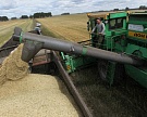 Россия потеряла 10 млн тонн зерна из-за нехватки комбайнов