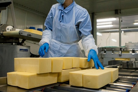 «Агросила» вложит 2 млрд рублей в производство сыров