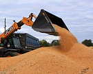 Сбор зерна достиг 62,5 млн тонн