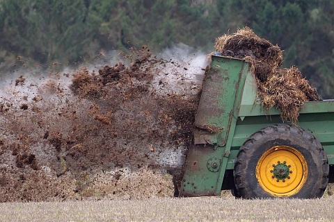 Экологи призвали отменить законопроект об обращении с отходами животноводства