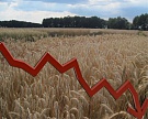 Россия в 2013 году сократила площади земель сельхозназначения