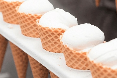 Производители мороженого «Петрохолод» и «Айсберри» могут объединиться