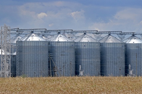 Продажи зерна снизились на 11,5%