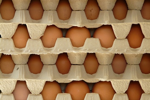 Птицеводы попросили ФАС проверить цены на яйца в магазинах