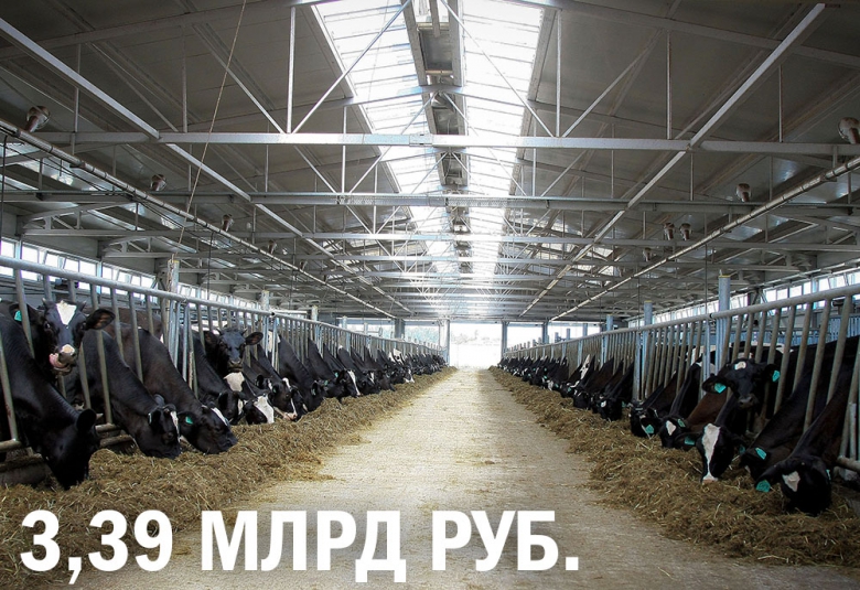 «Молоко Черноземья» построит самую крупную ферму в Воронежской области
