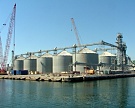 Новый зерновой терминал мощностью 700 тысяч тонн появится в морском порту Азова