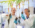 Bayer Crop Science инвестирует 1 млрд евро в исследования и разработки