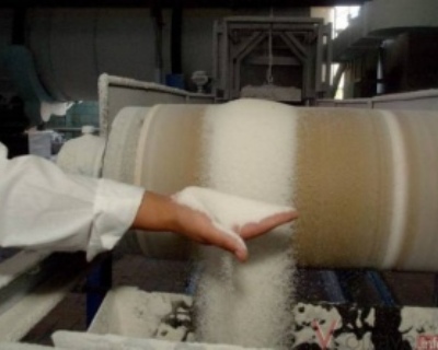 Курские заводы выработали более 8 тысяч тонн сахара