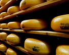 «Молком» нарастит мощность производства сыров до 700 т в месяц