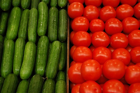 Россельхознадзор: российские тепличные овощи скоро будут поставлять в Европу