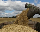 Минсельхоз: в 2017 году урожай зерна превысит 100 млн тонн