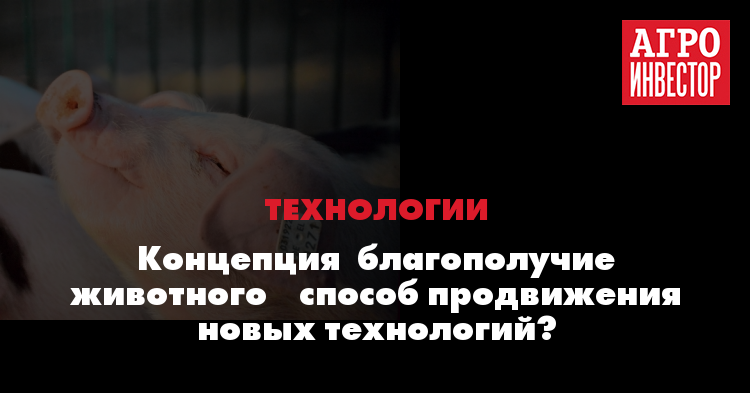 Научно-Обоснованные Нормы Нагрузки Животных На Ветеринарных Специалистов