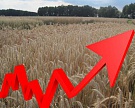 Конфликт вокруг Крыма привел к рекордному скачку цен на зерно