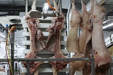 Топ-20 компаний произвели почти 2,4 млн тонн свинины