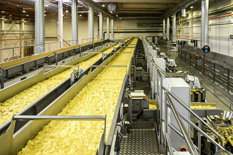 PepsiCo увеличит переработку картофеля на 10%