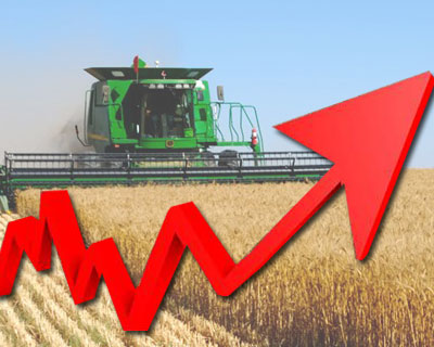«РЗ Агро» завершила уборку ранних зерновых с рекордным урожаем