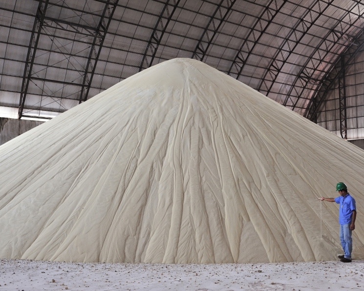 Кризис сахарного перепроизводства. В сезоне-2019/20 рентабельность отрасли упала ниже нуля