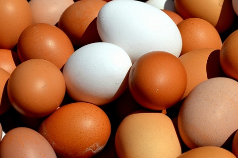 Цены на яйца будут расти