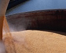C начала сельхозгода Россия экспортировала 900 тыс. т зерна
