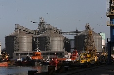 Крупнейший экспортер зерна поучаствует в создании терминала в Новороссийске