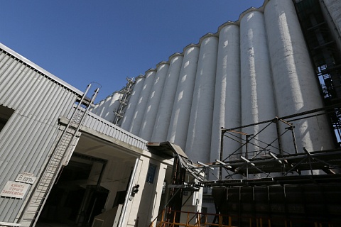 «СовЭкон»: переходящие запасы пшеницы в этом сезоне будут рекордными