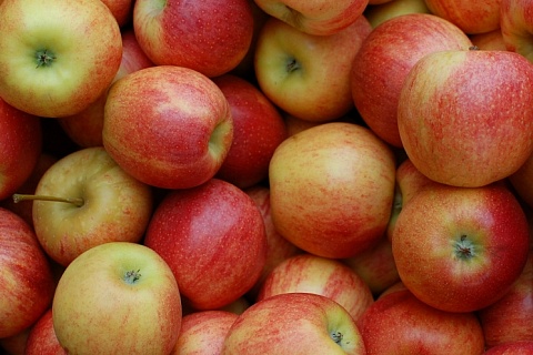 «Неизвестная страна» стала одним из крупнейших поставщиков яблок в Россию