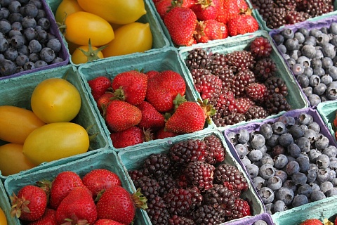 К 2025 году урожай плодов и ягод в России может вырасти на 20,8%