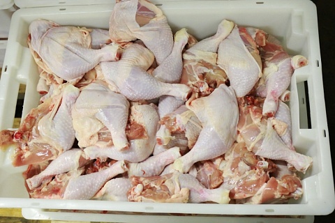 Группа «Ресурс» увеличивает экспорт мяса птицы в Африку