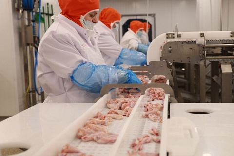 KFC будет закупать мясо птицы у «Серволюкса» по фиксированным ценам