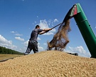 Рентабельность зерна в 2016 году превысила 20%