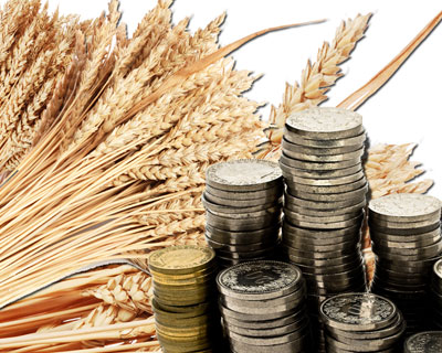Минсельхоз отмечает повышение цен на зерно