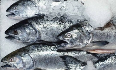 Грузия начнет экспорт рыбы в Россию