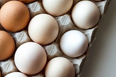 Производители яиц потеряли 19 млрд рублей прибыли из-за низких цен