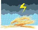 http://www.agroinvestor.ru/upload/iblock/e63/e6371b04eb95465f3a2d1abe470ea069.jpg