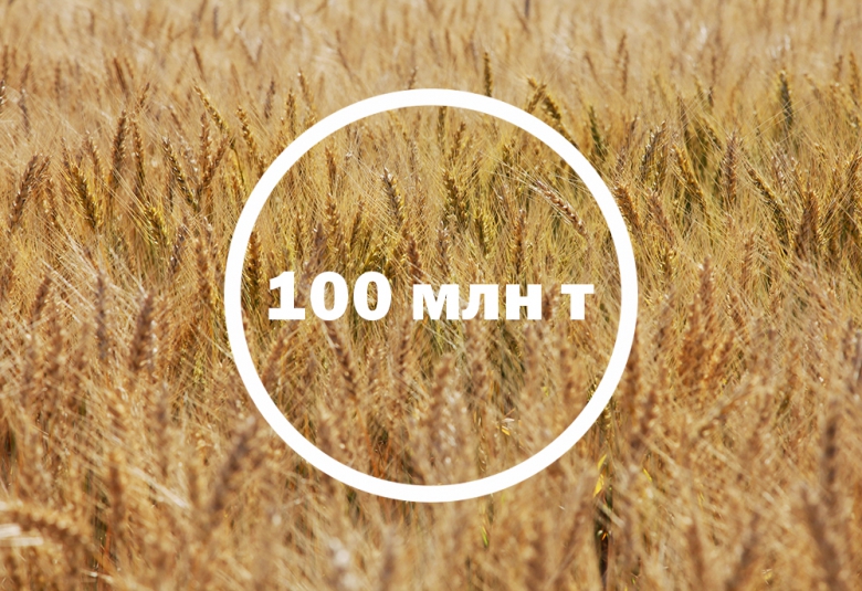Зерно — 100 млн т