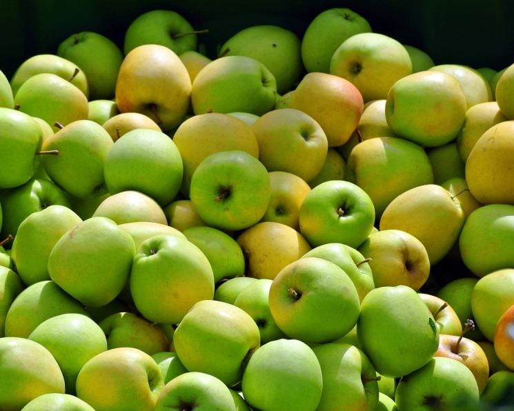 «Южные земли» планируют увеличить мощности хранения фруктов в 2,5 раза до 25 тыс. т к 2021 году