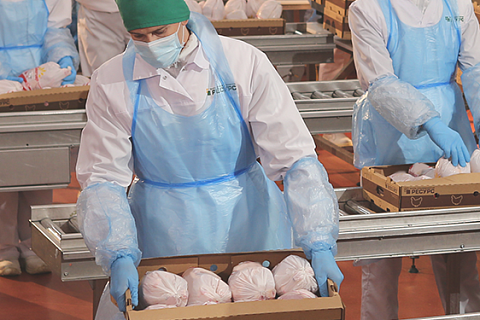 Иран разрешил поставки продукции птицеводства из России