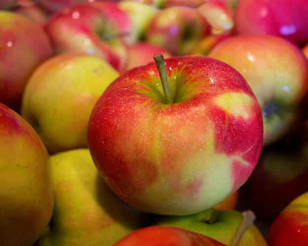 Российский рынок яблок вырастет до 3 млн тонн к 2020 году