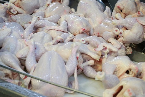 В этом году производство мяса птицы может вырасти на 2%