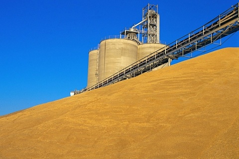 В октябре Россия экспортировала рекордный объем пшеницы