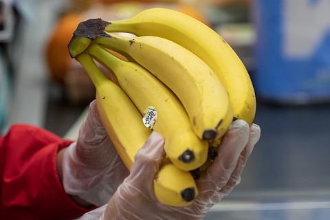Цены на бананы в России достигли максимума за пять лет