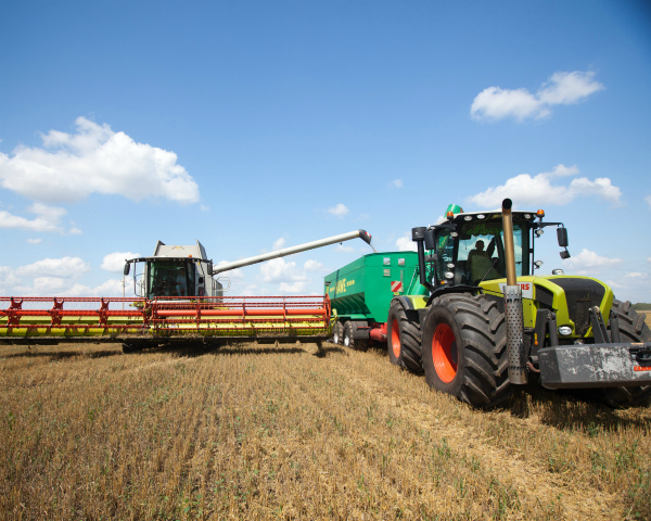 Эксперты повысили прогноз по экспорту зерна до 40 млн тонн