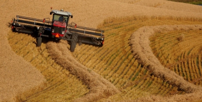 В феврале может быть экспортировано 1,1 млн тонн зерна
