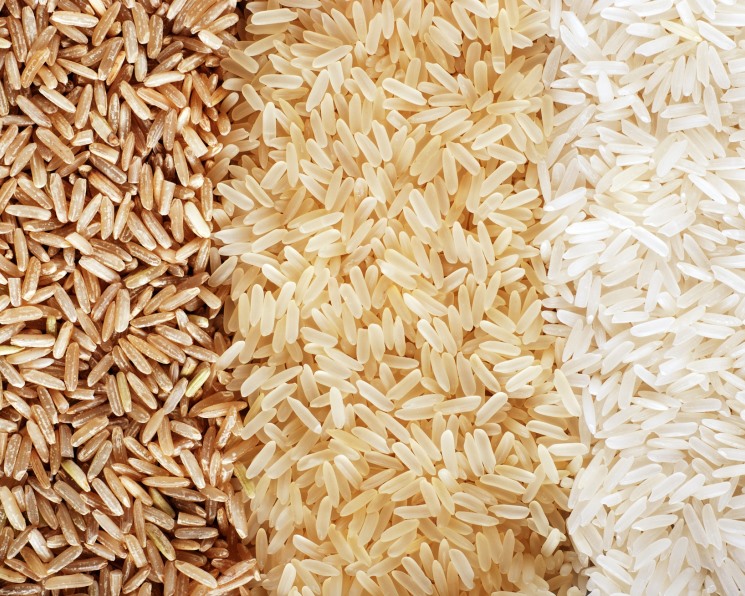 «АФГ Националь» зарегистрировал три новых сорта риса