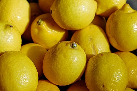 Минсельхоз не ожидает дефицита лимонов после запрета их импорта из Турции