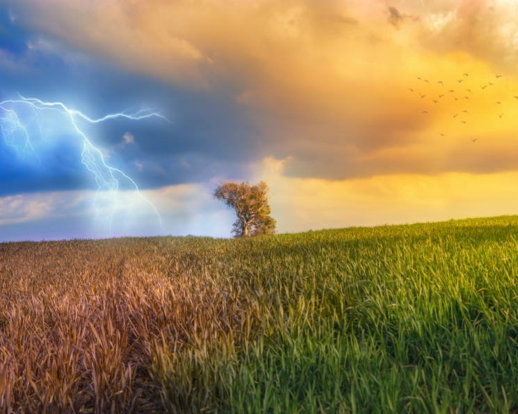 Погода становится нервной. Как глобальные изменения климата влияют на сельское хозяйство