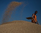 IGC: остатки пшеницы в России достигнут максимума за 25 лет