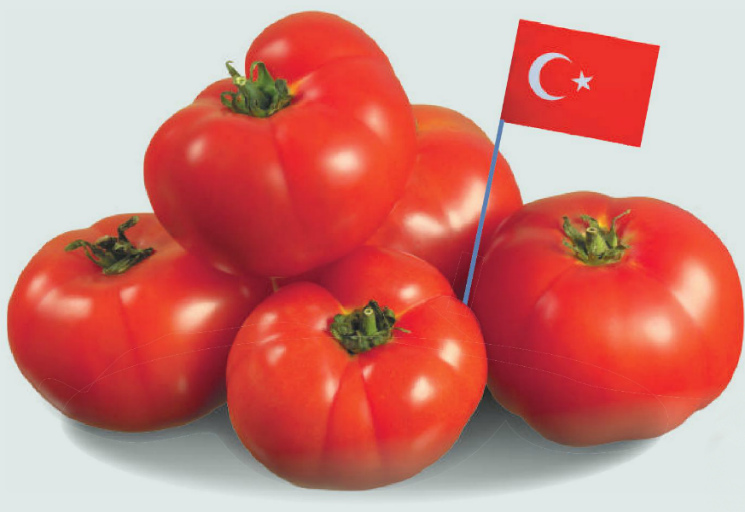 Турецкие томаты разрешены к ввозу в Россию с 1 мая