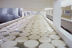 «Русагро» намерена войти в топ-3 производителей сыра