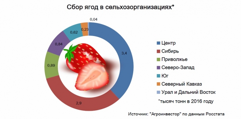 Производство ягод за 2016 год увеличилось на 6%